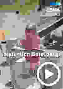 lenk.jpg