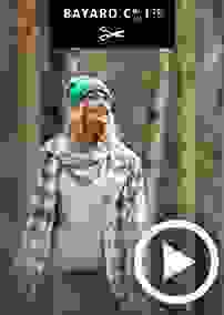 bayard.jpg